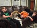 Kids_MooseCouch (3)